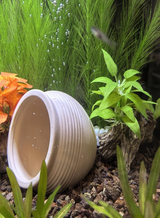 M2cbridge Pottery Ceramic Jar Natural Clay Vase Cichlid Small Fish Shrimp to Play Hide Breed Habitat(Creamy Clay, 2pcs) - Image 5