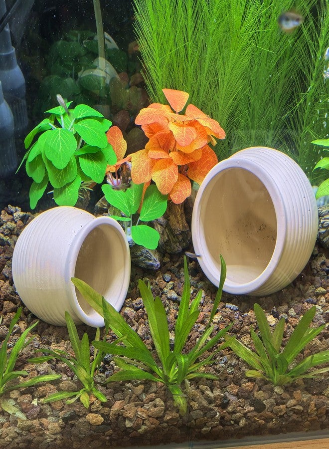 M2cbridge Pottery Ceramic Jar Natural Clay Vase Cichlid Small Fish Shrimp to Play Hide Breed Habitat(Creamy Clay, 2pcs) - Image 4