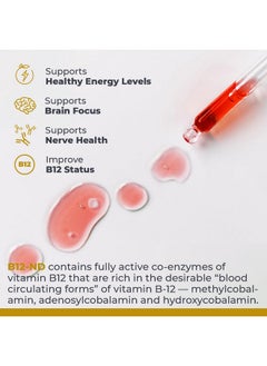 Premier Research Labs B12-ND - High-Potency Vitamin B12 - Supports Energy Levels, Memory & More - Brain Focus for Vegetarians & Vegans - Kosher Certified, Organic Ingredients - 2 fl oz - pzsku/ZD8CF0F260CB0E71BB80CZ/45/_/1739864963/914e0be1-a7c6-4d35-9196-f2c1b4b1c146