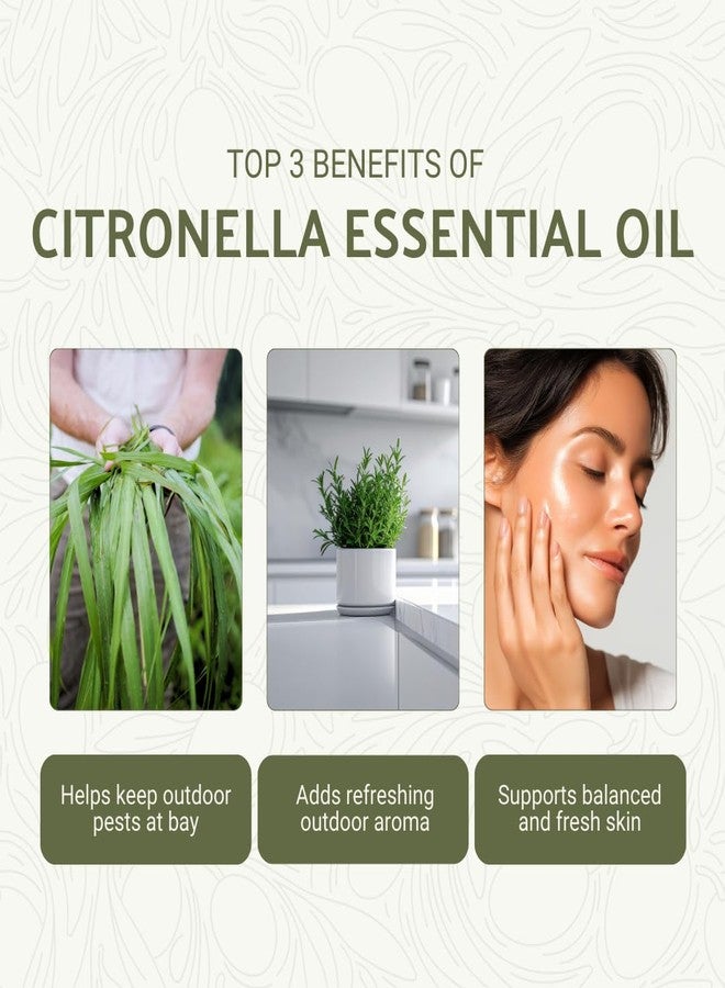 Nature Packaged Citronella Essential Oil - Direct from Central Java, Indonesia - Pure Essential Oil for Diffusers and Aromatherapy | 100% Pure Therapeutic Grade - 15ml - Image 2
