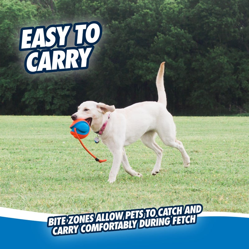 Chuckit! Rope Fetch Dog Toy - Ball on Rope Fetch and Tug-of-War Toy for Dogs - Durable EVA Rubber Construction - 5.5-inch Diameter - 18-inch Rope - Orange and Blue - Image 5