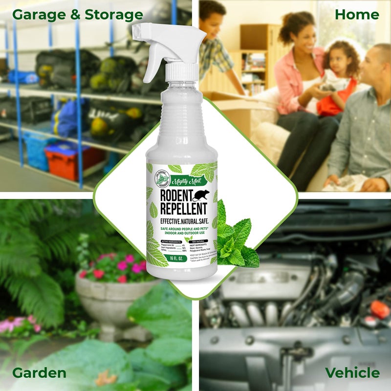 Mighty Mint Peppermint Oil Rodent Repellent Spray â€“ Natural Indoor & Outdoor Control for Mice and Rats â€“ Plant-Based, Extra-Strong Formula - 16 oz (Pack of 2) - Image 3