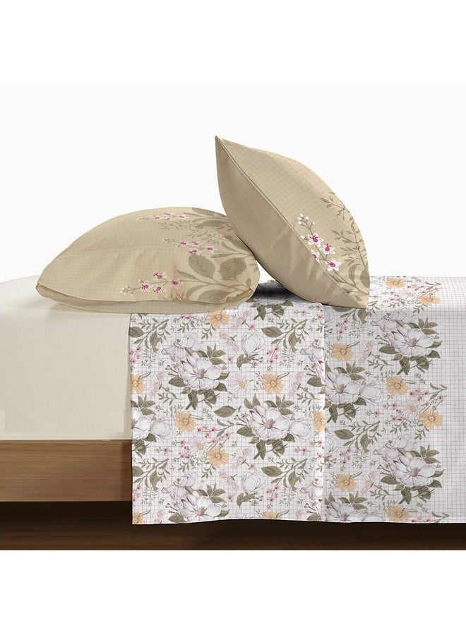 Trident Soft Comfort Bedsheet for Double Bed, 210 TC 100% Cotton Bedsheet, Soft and Breathable, King Size Bedsheet with 2 Pillow Covers - Backyard - Image 4