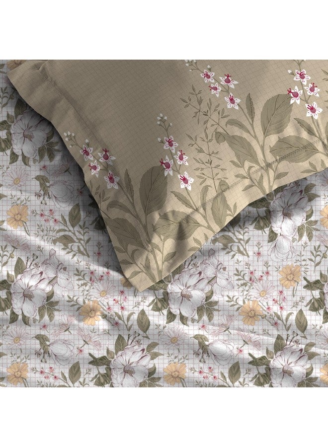 Trident Soft Comfort Bedsheet for Double Bed, 210 TC 100% Cotton Bedsheet, Soft and Breathable, King Size Bedsheet with 2 Pillow Covers - Backyard - Image 5