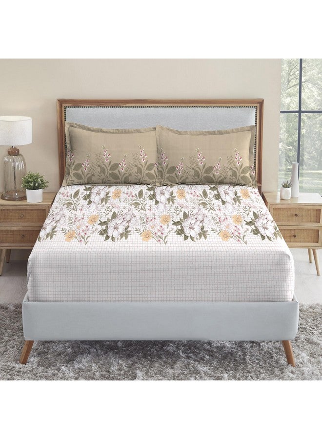 Trident Soft Comfort Bedsheet for Double Bed, 210 TC 100% Cotton Bedsheet, Soft and Breathable, King Size Bedsheet with 2 Pillow Covers - Backyard - Image 3