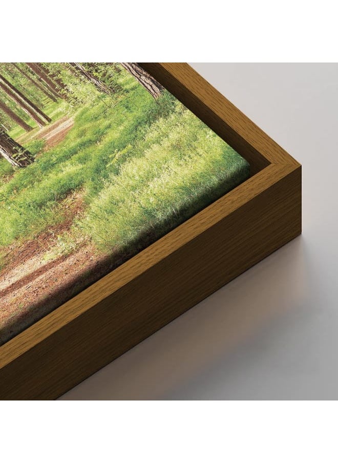 Summer Green Forest Printed On Canvas Wall Art 120x80