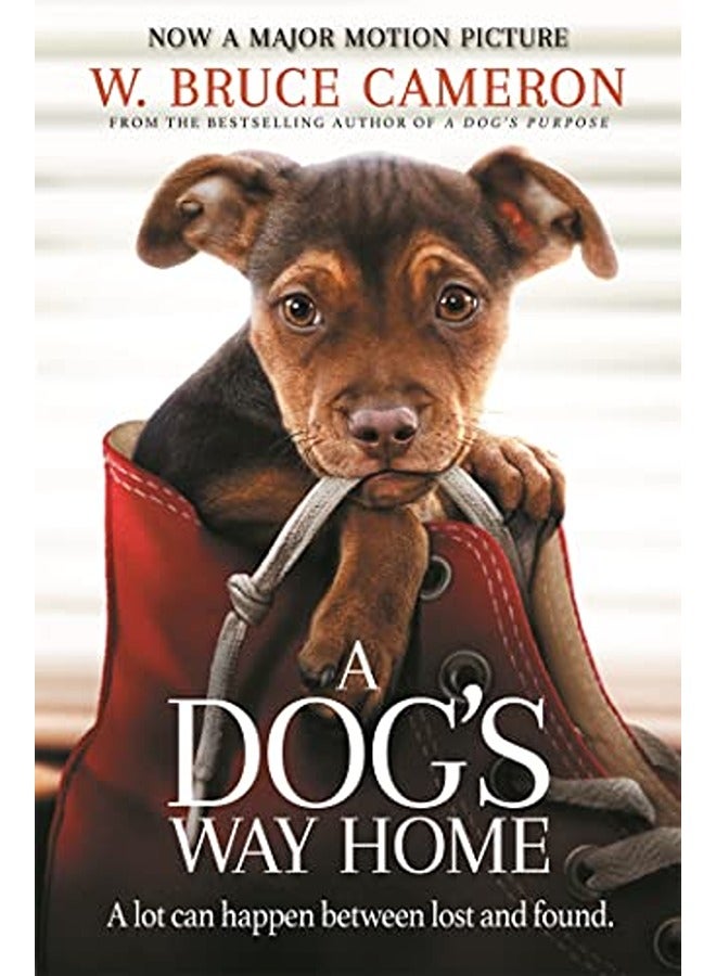 A Dogs Way Home The Heartwarming Story Of The Special Bond Between Man And Dog