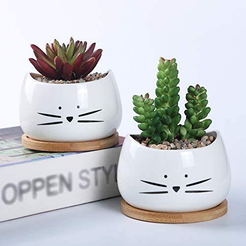 Koolkatkoo 3.2 Inch Cute Cat Ceramic Succulent Planter Pots with Removable Saucer Unique Cactus Planters Porcelain Decorative Flower Pot for Cat Lovers Set of 3 White - Image 2