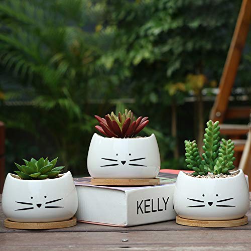 Koolkatkoo 3.2 Inch Cute Cat Ceramic Succulent Planter Pots with Removable Saucer Unique Cactus Planters Porcelain Decorative Flower Pot for Cat Lovers Set of 3 White - Image 5