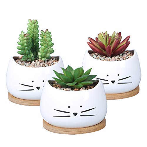Koolkatkoo 3.2 Inch Cute Cat Ceramic Succulent Planter Pots with Removable Saucer Unique Cactus Planters Porcelain Decorative Flower Pot for Cat Lovers Set of 3 White - Image 1