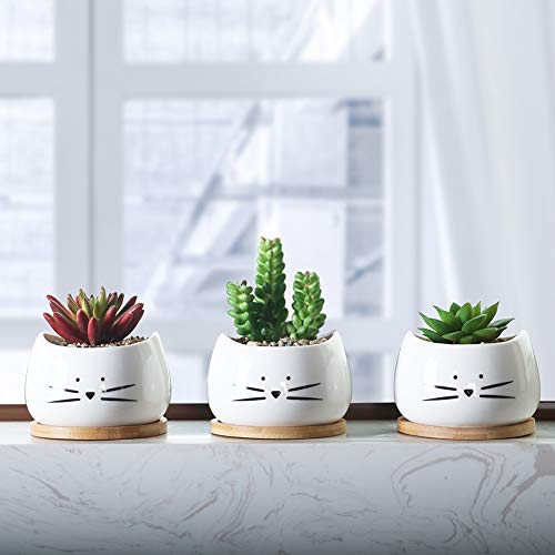 Koolkatkoo 3.2 Inch Cute Cat Ceramic Succulent Planter Pots with Removable Saucer Unique Cactus Planters Porcelain Decorative Flower Pot for Cat Lovers Set of 3 White - Image 4