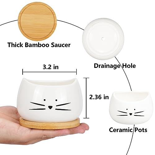 Koolkatkoo 3.2 Inch Cute Cat Ceramic Succulent Planter Pots with Removable Saucer Unique Cactus Planters Porcelain Decorative Flower Pot for Cat Lovers Set of 3 White - Image 3