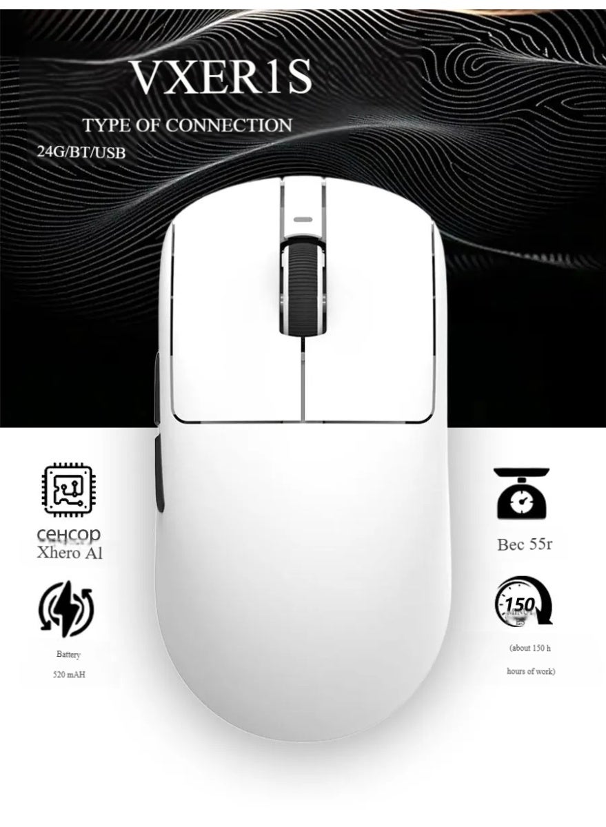 في إكس إي دراجون فلاي في إكس إي دراجون فلاي Vxe Dragonfly R1 S