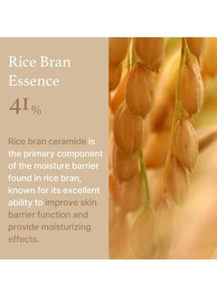 I'M FROM I'M From Rice Skin Cream 50g  - Image 4