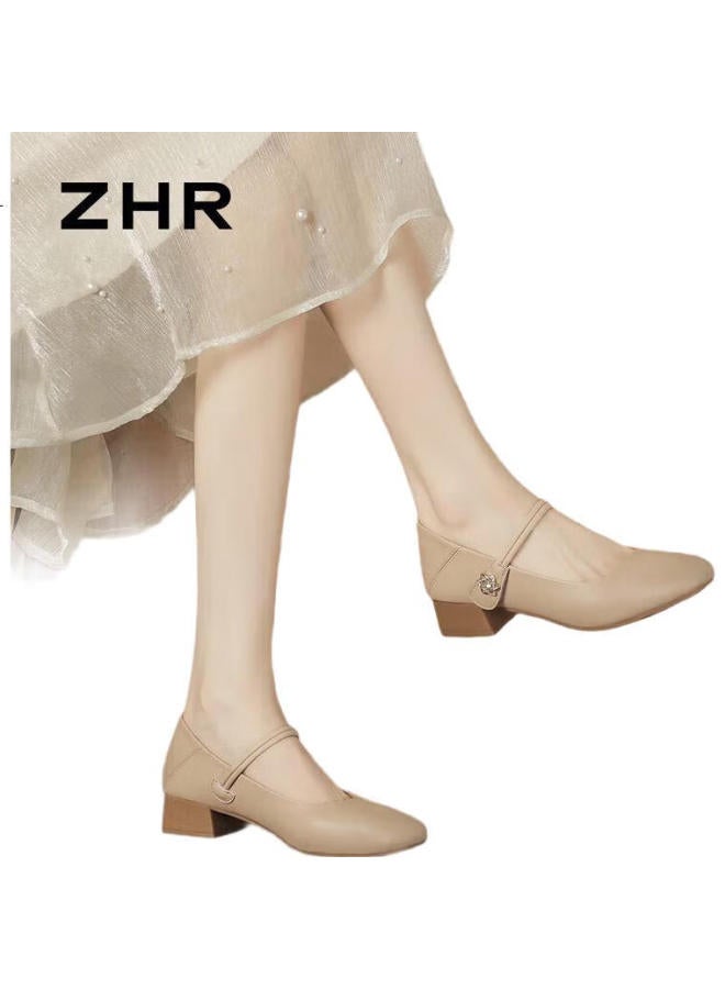 ZHR Mary Jane Shoes Women Elegant Comfortable Chunky Heel Single Shoes Women'S Temperament Commuting Shallow Mouth Women'S Shoes Ah506 Apricot 36 - Image 1