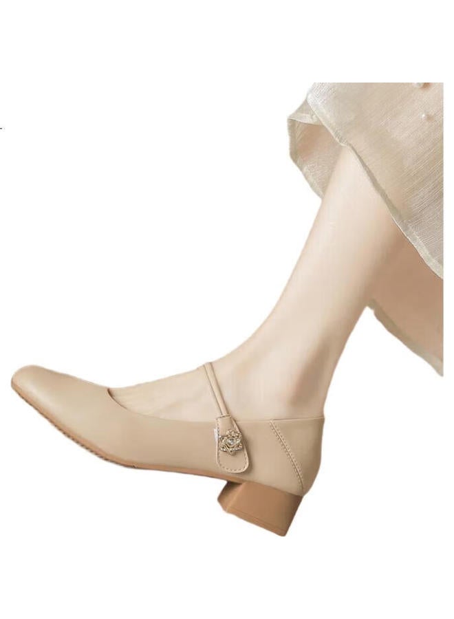 ZHR Mary Jane Shoes Women Elegant Comfortable Chunky Heel Single Shoes Women'S Temperament Commuting Shallow Mouth Women'S Shoes Ah506 Apricot 36 - Image 2