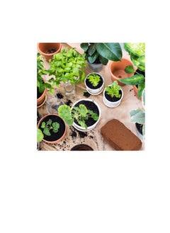 BESTOMZ Bestomz 2pcs Coconut Choir Bricks Compressed Coco Peat Brick for Seed Starting Mix Reptiles Garden  - Image 2
