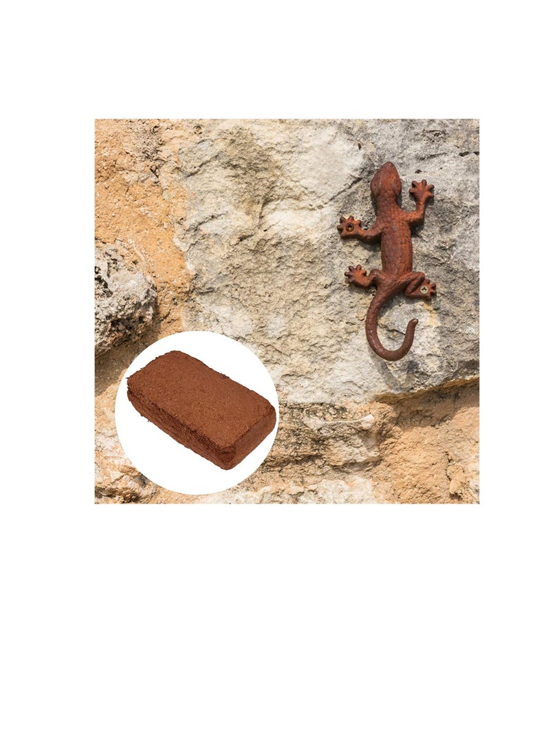 BESTOMZ Bestomz 2pcs Coconut Choir Bricks Compressed Coco Peat Brick for Seed Starting Mix Reptiles Garden  - Image 3