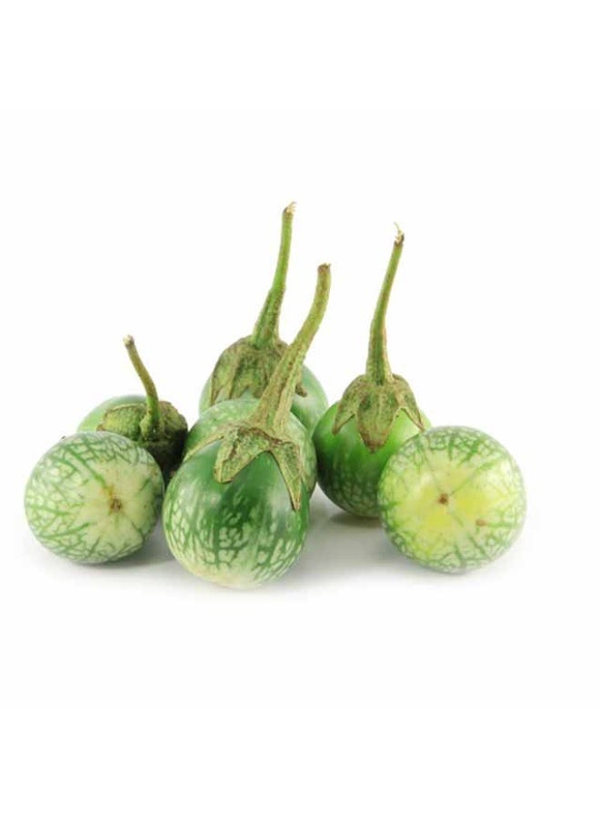 باذنجان صغير , 250 غرام لكل عبوة