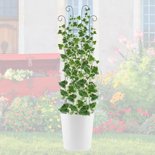 LAVISH CRAFT Garden Trellis for Climbing Plants Outdoor | Expandable Climbing Plant Supporter | Adjustable Balcony Privacy Trellis for Vine, Roses, and Vegetables (2) - Image 2