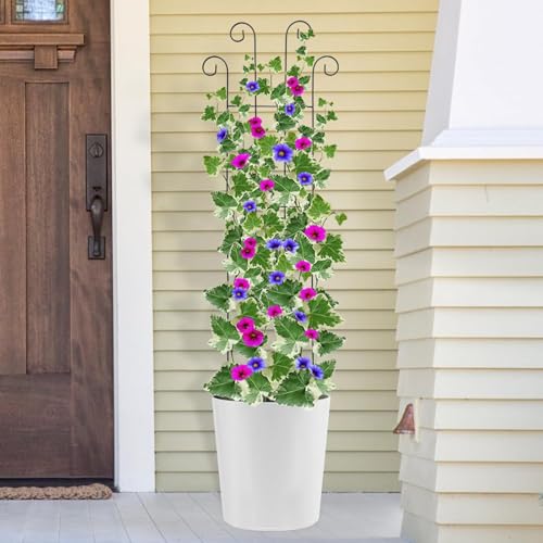 LAVISH CRAFT Garden Trellis for Climbing Plants Outdoor | Expandable Climbing Plant Supporter | Adjustable Balcony Privacy Trellis for Vine, Roses, and Vegetables (2) - Image 3
