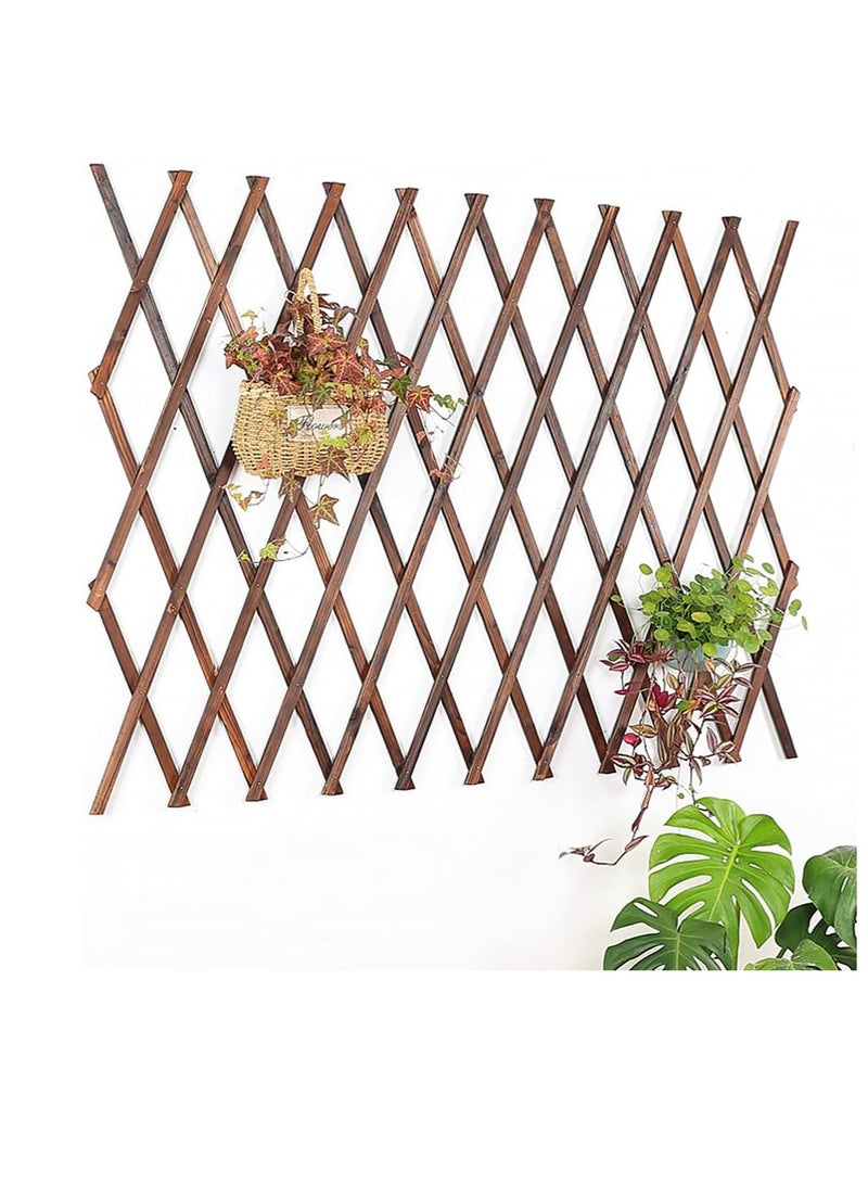 لوحة سياج حائط شبكية خشبية محمولة من FFD - إطار تعليق نباتي قابل للتوسيع (مجموعة من 5) للبستنة العمودية الجميلة"