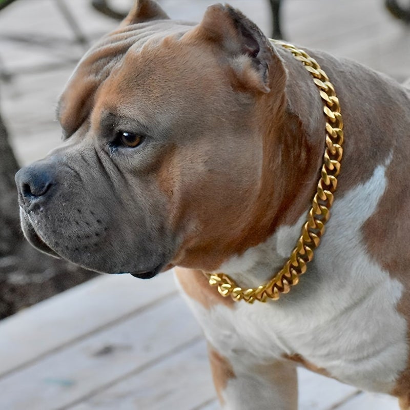 Stainless Steel Golden Dog Collar with Safety Buckle Lock Cuban Link Chain 26 Inch Heavy Duty for Small Medium Large Dogs - Image 5