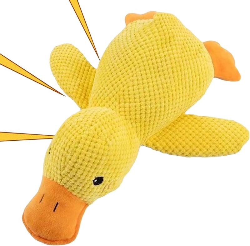 Medium Color Squeaky Interactive Dog Toys For Indoor Outdoor Play Training - Image 1
