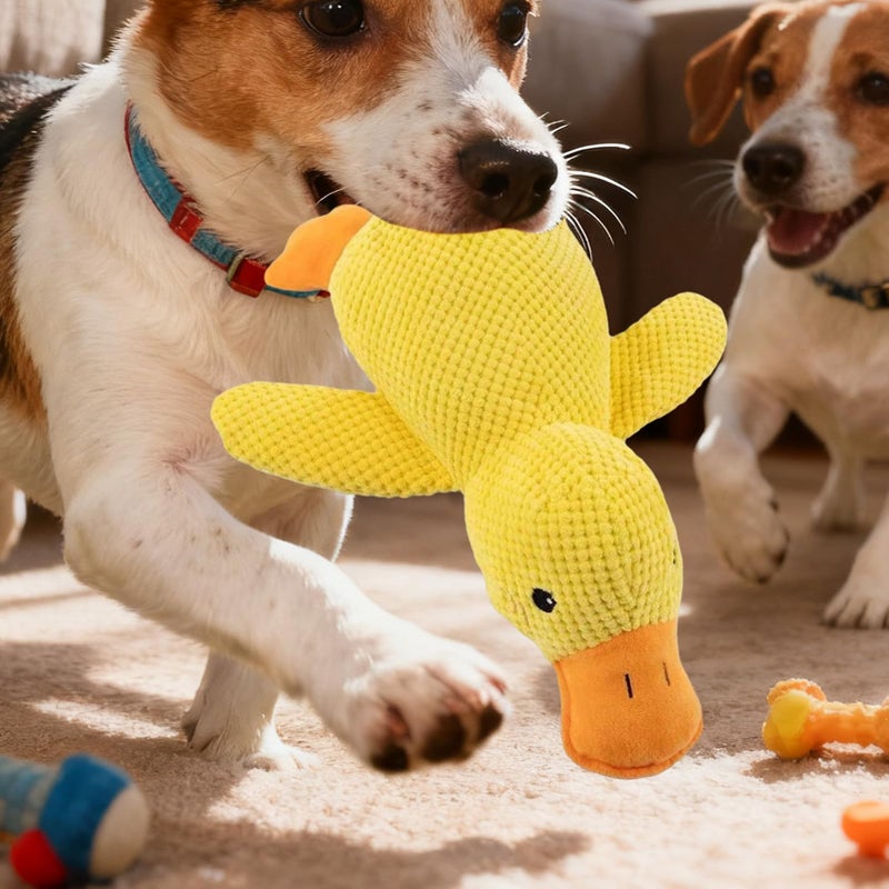 Medium Color Squeaky Interactive Dog Toys For Indoor Outdoor Play Training - Image 5