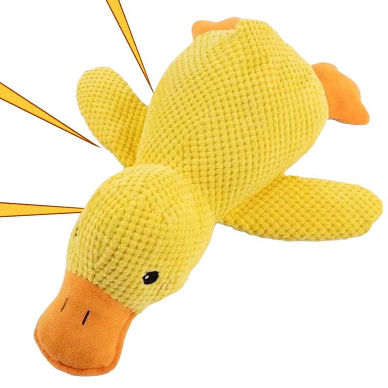 Medium Color Squeaky Interactive Dog Toys For Indoor Outdoor Play Training - Image 2