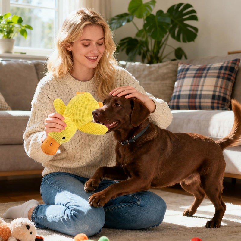 Medium Color Squeaky Interactive Dog Toys For Indoor Outdoor Play Training - Image 4