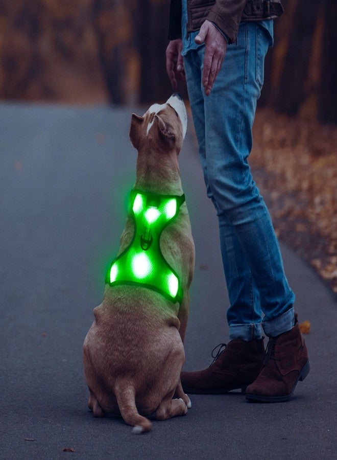 BSEEN Light Up Dog Harness - No-Pull Reflective LED Dog Harness Rechargeable Glow in The Dark Pet Vest Safety Doggy Lights for Night Walking (Green, Small) - Image 3