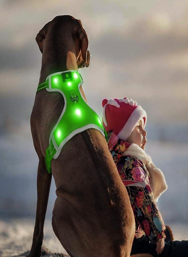 BSEEN Light Up Dog Harness - No-Pull Reflective LED Dog Harness Rechargeable Glow in The Dark Pet Vest Safety Doggy Lights for Night Walking (Green, Small) - Image 1
