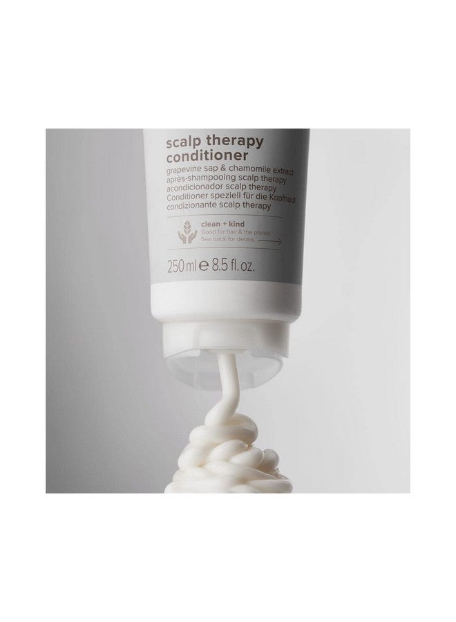 Paul Mitchell Aul Mitchell Clean Beauty Scalp Therapy Conditioner Gently Conditions + Cools All Hair Types Especially Dry Oily + Sensitive Scalps 8.5 Oz. - Image 3