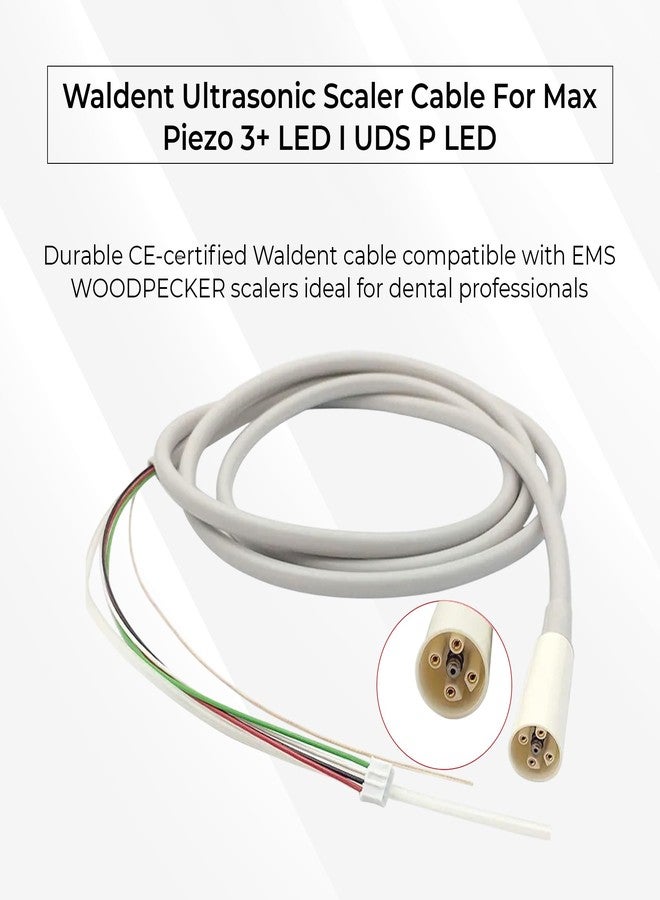 WALDENT كابل جهاز تنظيف الأسنان بالموجات فوق الصوتية من والدنت، متوافق مع Max Piezo 3+ LED وUDS P LED | كابل بديل متين ومرن لجهاز تنظيف الأسنان بالموجات فوق الصوتية | ملحق لطب الأسنان - Image 2