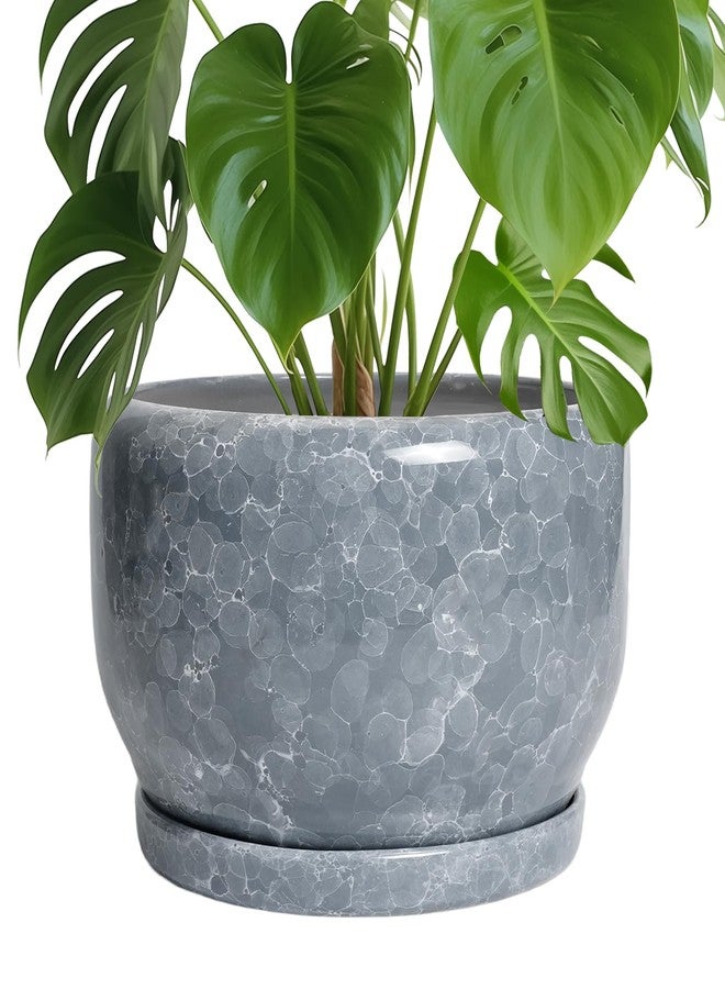 SQOWL Ceramic Pot for Plants - 10 Inch Plant Pot Indoor with Drainage Hole and Saucer, Round Ceramic Planter, Decorative Large Flower Pot Outdoor, Home Office Room Decor, Garden Gifts, Gray - Image 1