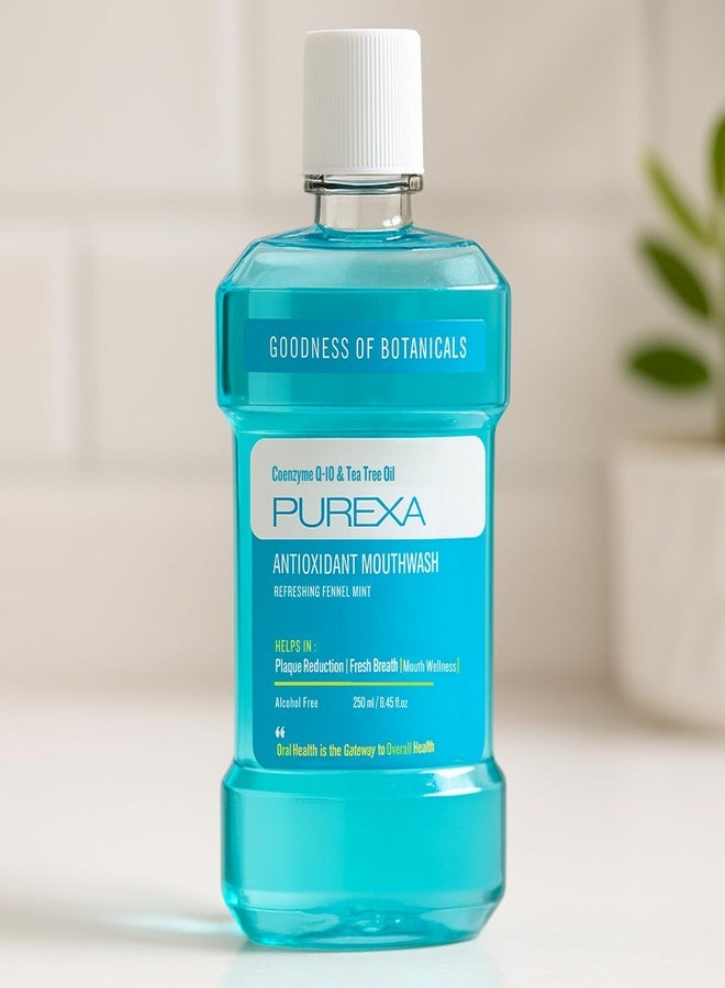 PUREXA غسول الفم بنكهة الشمر والنعناع من بيوريكسا 250 مل + منظف اللسان النحاسي على شكل حرف Q | غسول فم عشبي خالٍ من الكحول ومكشطة لسان مضادة للميكروبات | انتعاش طبيعي ونظافة فم يومية - Image 2