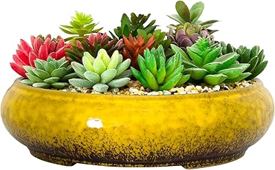 ARTKETTY ARTKETTY Succulent Pots - 11.5 Inch Ceramic Bonsai Pots with Drainage, Large Shallow Succulent Planters for Indoor  - Image 1