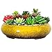 ARTKETTY ARTKETTY Succulent Pots - 11.5 Inch Ceramic Bonsai Pots with Drainage, Large Shallow Succulent Planters for Indoor  - Image 2