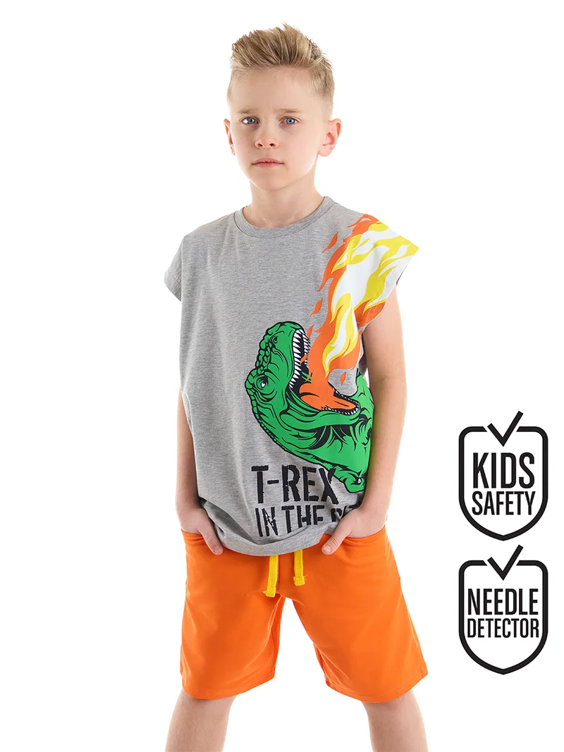 MSHB&G T-Rex Flame T-shirt&Shorts Set