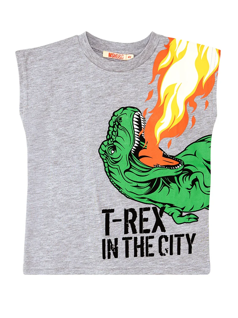 MSHB&G T-Rex Flame T-shirt&Shorts Set