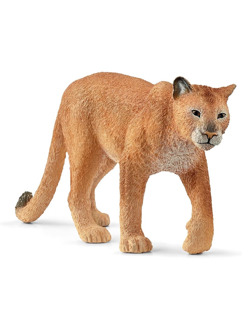 Schleich ألعاب الحيوانات البرية من شلايش، حيوانات الغابة الشمالية الأمريكية للأطفال، تمثال لعبة النمر، للأعمار 3 سنوات فما فوق - Image 1