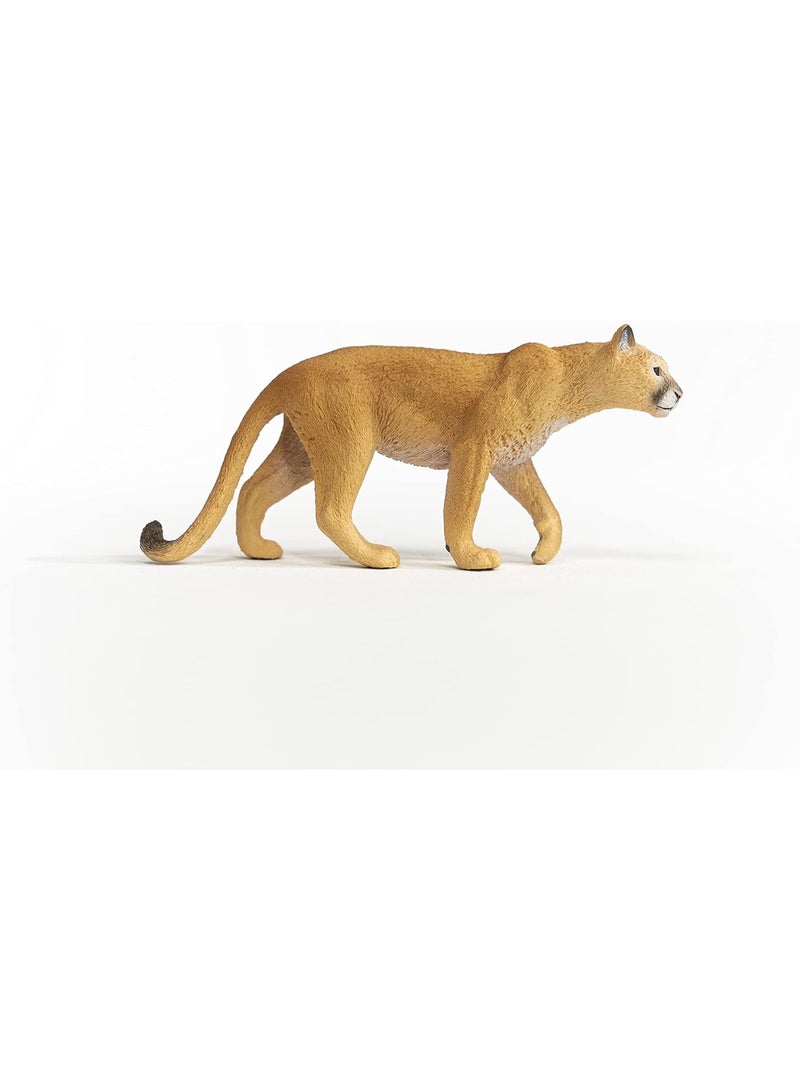 Schleich ألعاب الحيوانات البرية من شلايش، حيوانات الغابة الشمالية الأمريكية للأطفال، تمثال لعبة النمر، للأعمار 3 سنوات فما فوق - Image 5