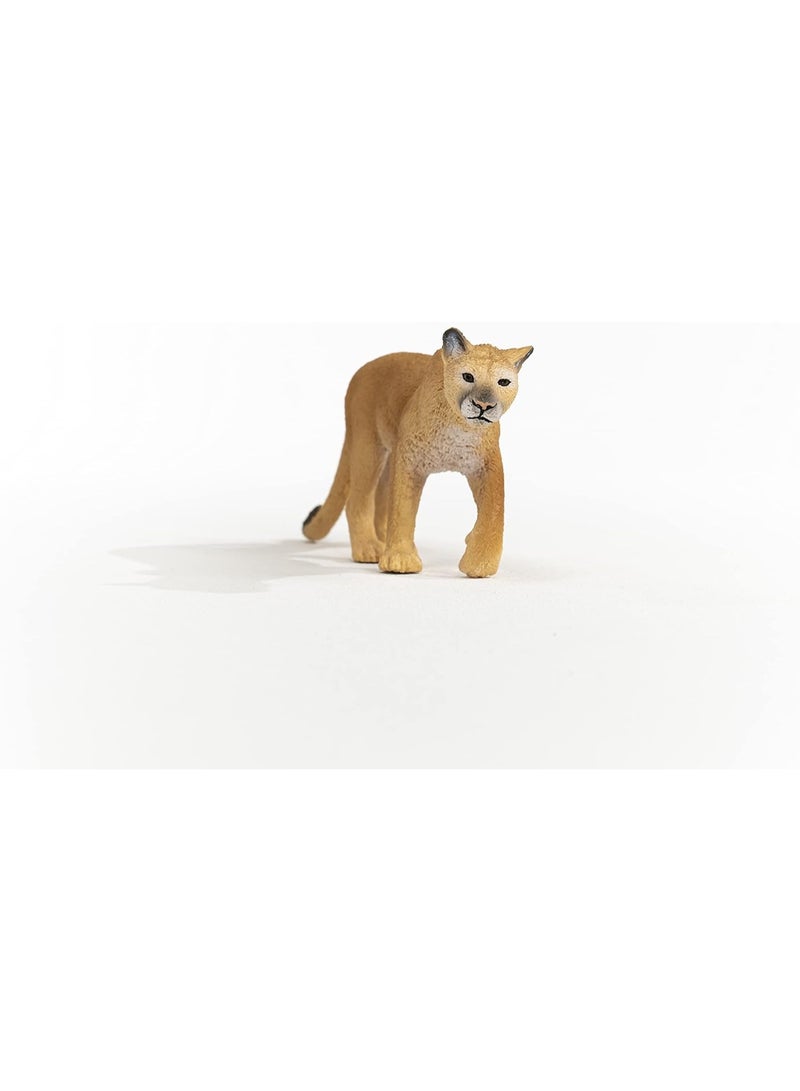 Schleich ألعاب الحيوانات البرية من شلايش، حيوانات الغابة الشمالية الأمريكية للأطفال، تمثال لعبة النمر، للأعمار 3 سنوات فما فوق - Image 3