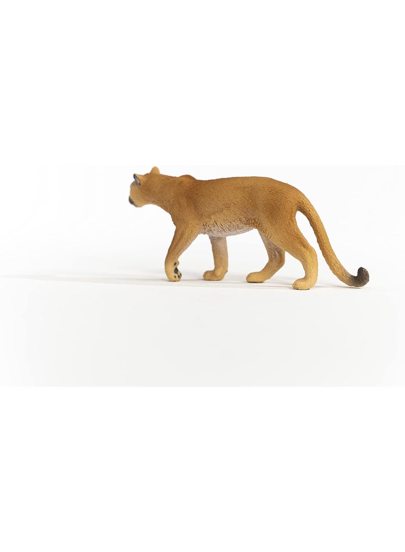 Schleich ألعاب الحيوانات البرية من شلايش، حيوانات الغابة الشمالية الأمريكية للأطفال، تمثال لعبة النمر، للأعمار 3 سنوات فما فوق - Image 4