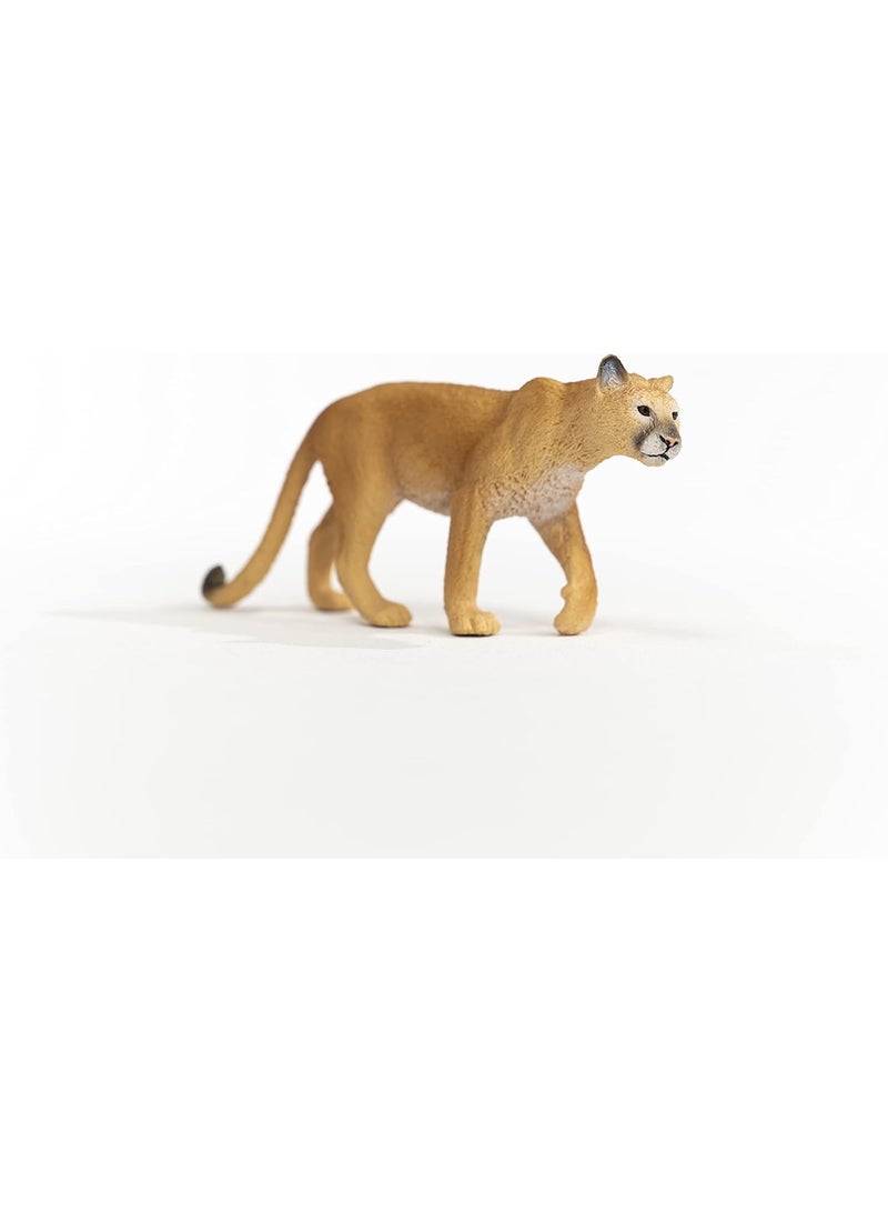 Schleich ألعاب الحيوانات البرية من شلايش، حيوانات الغابة الشمالية الأمريكية للأطفال، تمثال لعبة النمر، للأعمار 3 سنوات فما فوق - Image 2