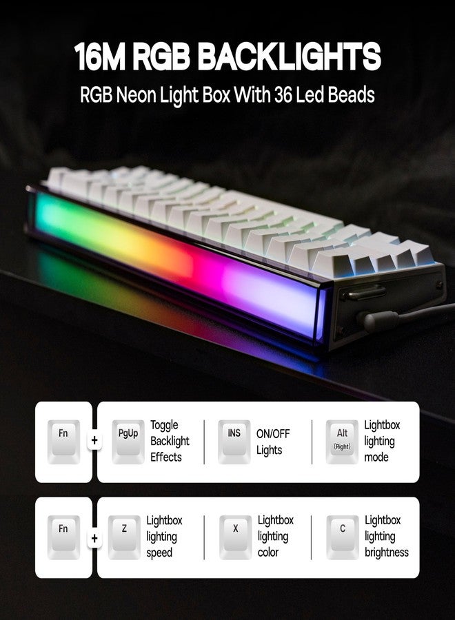 MechLands Aula Hero68 HE Wired Magnetic Gaming Keyboard, Rapid Hall Effect Keyboard with 0.01mm Adjustable Actuation, 8kHz Polling, 5-Layer Sound Dampening, RGB Lightbox & Backlit (White) - Image 4