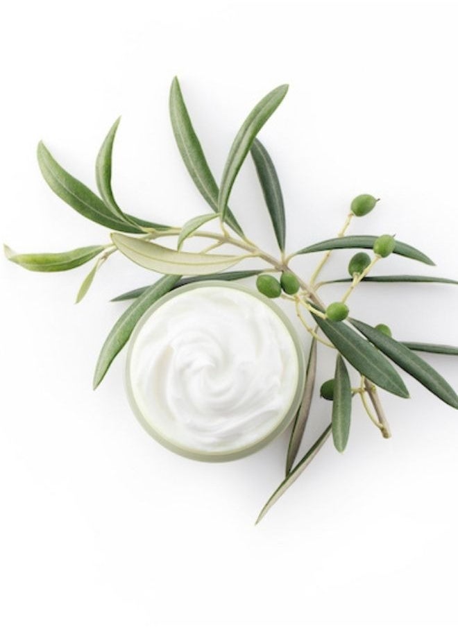 DHC - Olive Virgin Oil Essential Cream 50g - Image 1