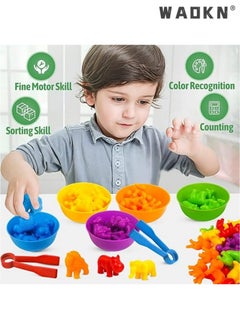 WAOKN Educational Animal Matching & Sorting Game with Colorful Bowls for Preschool Learning Activities, Montessori-Inspired Sensory STEM Toy Sets for Daycare, Ideal Gift for Toddlers and Kids Ages 3+  - Image 4