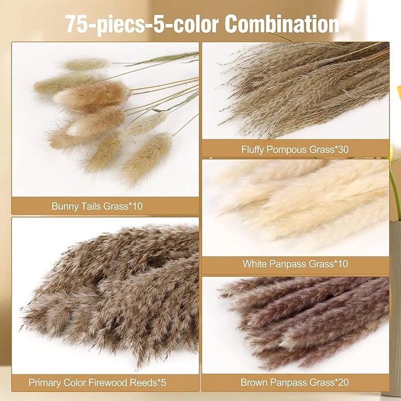 Bluejw Bohemian Pampas Grass Bouquet - Mixed Reeds Dried Flowers for Boho Home Decor, Office, Shop - Natural Dried Plants Arrangement - Image 1